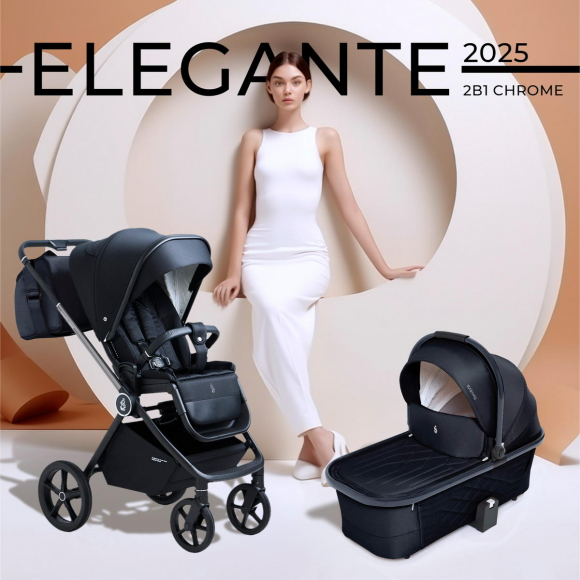 Коляска 2 в1 SBL Elegante Chrome - Black