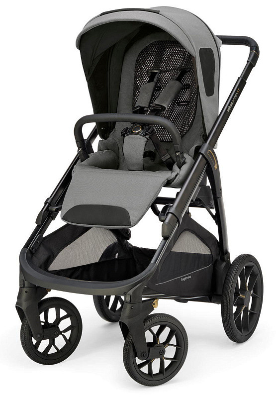 Прогулочная коляска Inglesina Aptica XT New - Canyon Grey 2025
