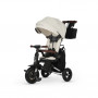 Beige (Lux/Silver)