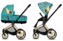 Cherubs Blue