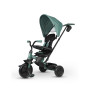 Platinum Green